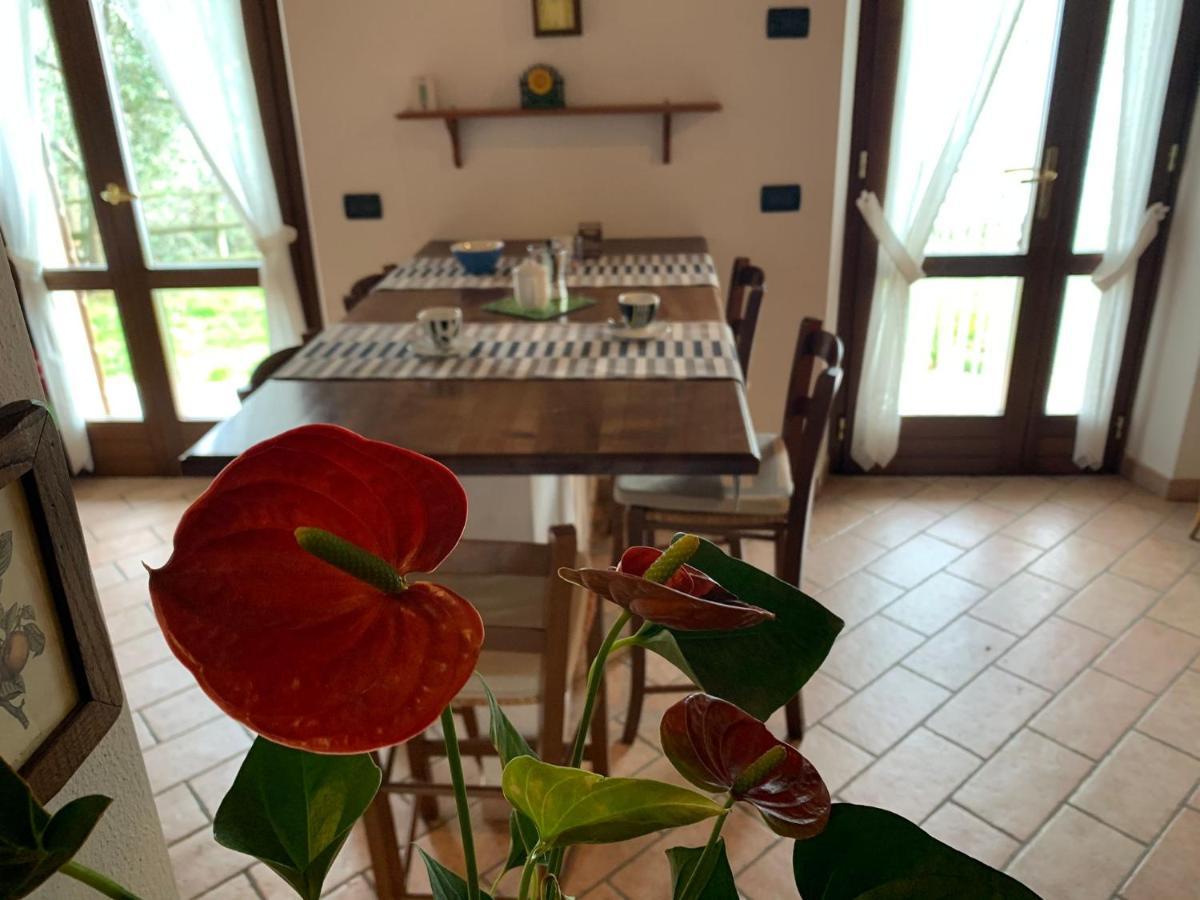 Villa Panorama 加尔尼亚诺 外观 照片